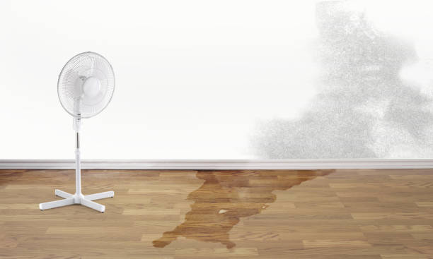 Best 24/7 water damage repair  in Tioga Terrace, NY