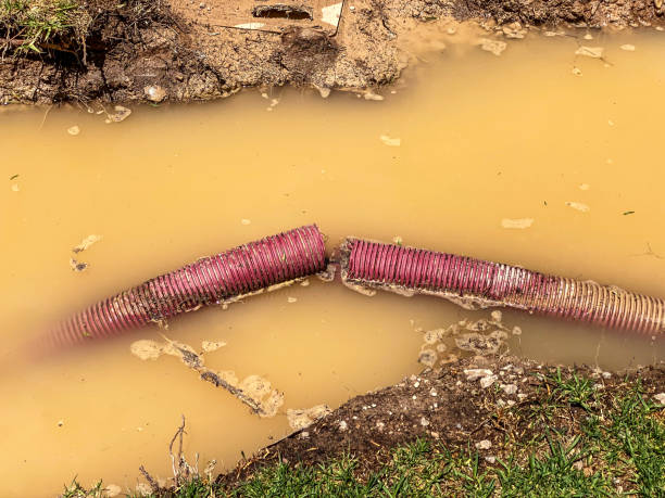 Best Professional water damage repair  in Tioga Terrace, NY
