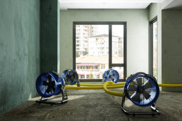 Best Flood restoration services  in Tioga Terrace, NY